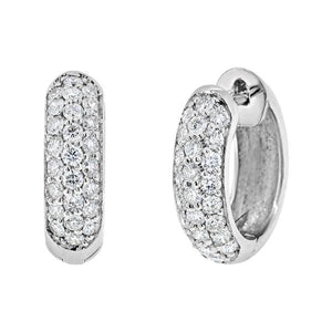 Boucle d'oreille en or blanc 18 carats 50 diamants 0.01 carat F SI 1-Boucles d'oreilles diamants-Marque:Référence: D6.6/OBMétal: Or blancTitre: 18 caratsPoids du métal: 2,70 GrType de pierre: Diamant(s)Poids: 0,01 CtForme - taille: Taille brillantCouleur: FPureté: SI1-DIAM'S- -DIAM'S NC