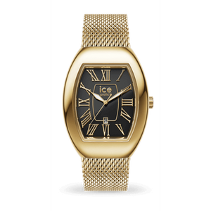 ICE boliday - Dome - Metal mesh - Black GD - S - 3H+D-Montres femme-Marque:Référence: 024486-ICE WATCH- -DIAM'S NC