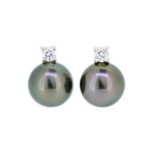 Boucles d'oreilles en or blanc serties de diamants. 2 perles de Tahiti 8.6/9.5mm ronde A-Boucles d'oreilles perle et diamants-Marque:Référence: D6.104-OB-299Métal: Or blancTitre: 18 caratsPoids du métal: 1,00 GrType de pierre: Diamant(s)Poids: 0,14 CtForme - taille: Taille brillantCouleur: FPureté: SI1-DIAM'S- D6.104-OB-299-DIAM'S NC